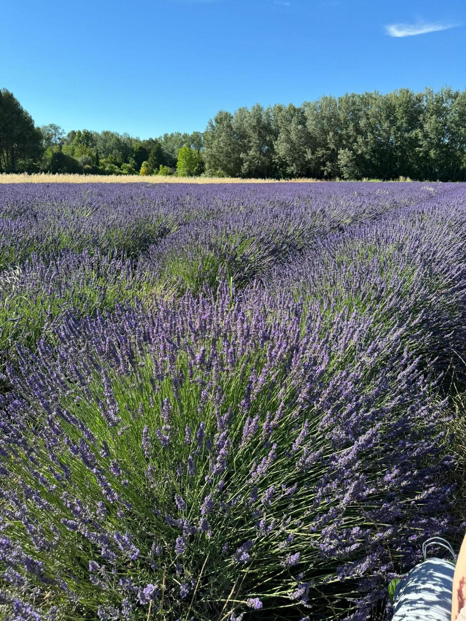 Appartement Neuf Et Au Calme Proche Avignon Althen-des-Paluds Экстерьер фото